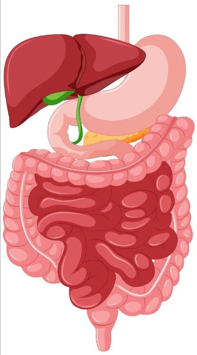 Diagnóstico gastrointestinal en Ciudad Obregón - Dra. Nancy Olivas coloproctóloga